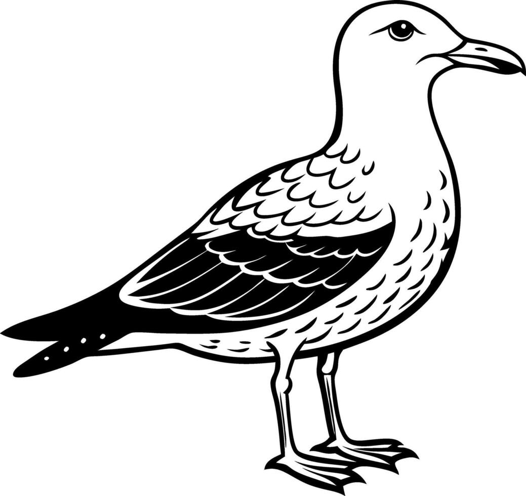 A black and white drawing of a seagull vector