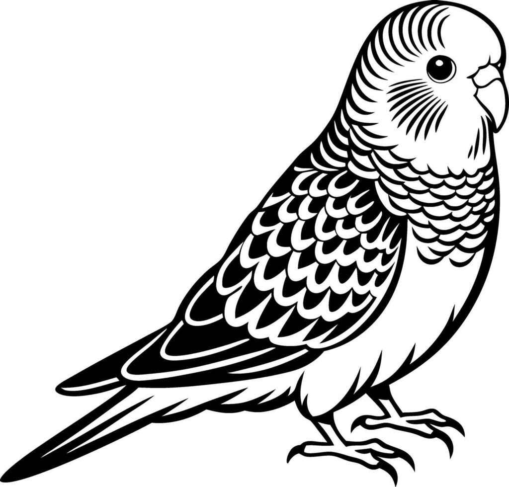 A black and white bird with a white head and a black body vector