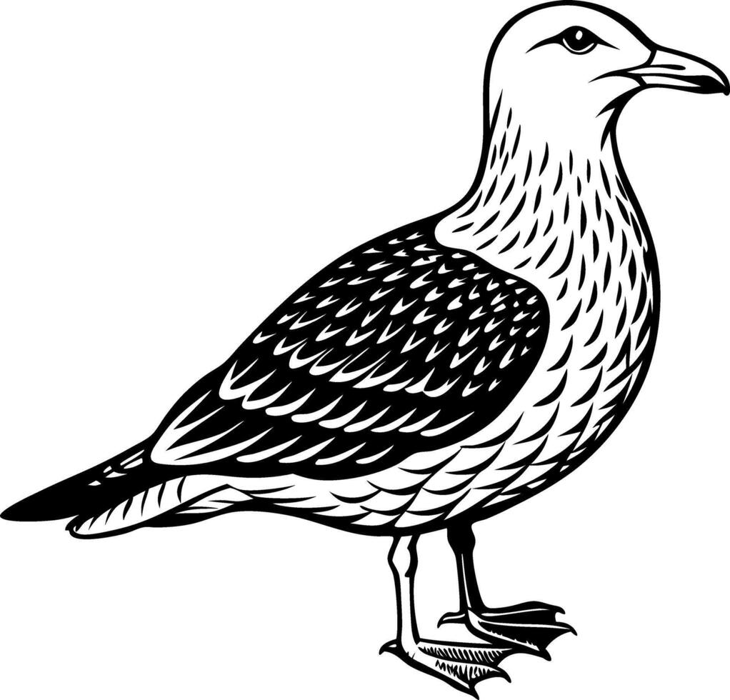 A black and white drawing of a bird with its head tilted to the side vector