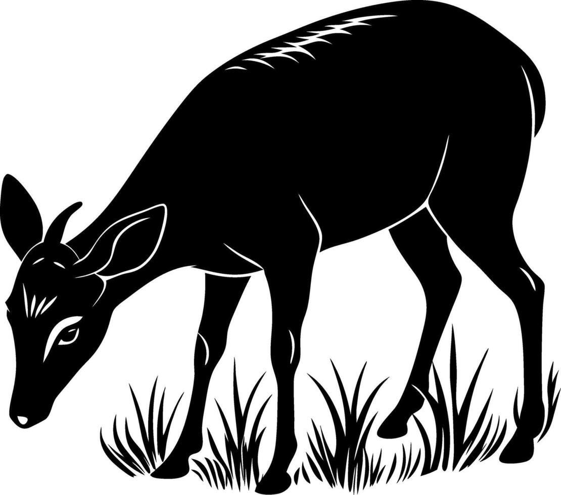 A black and white drawing of a deer eating grass vector
