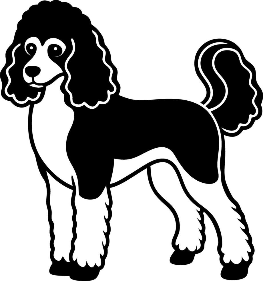 A black and white poodle dog with a white spot on its head vector