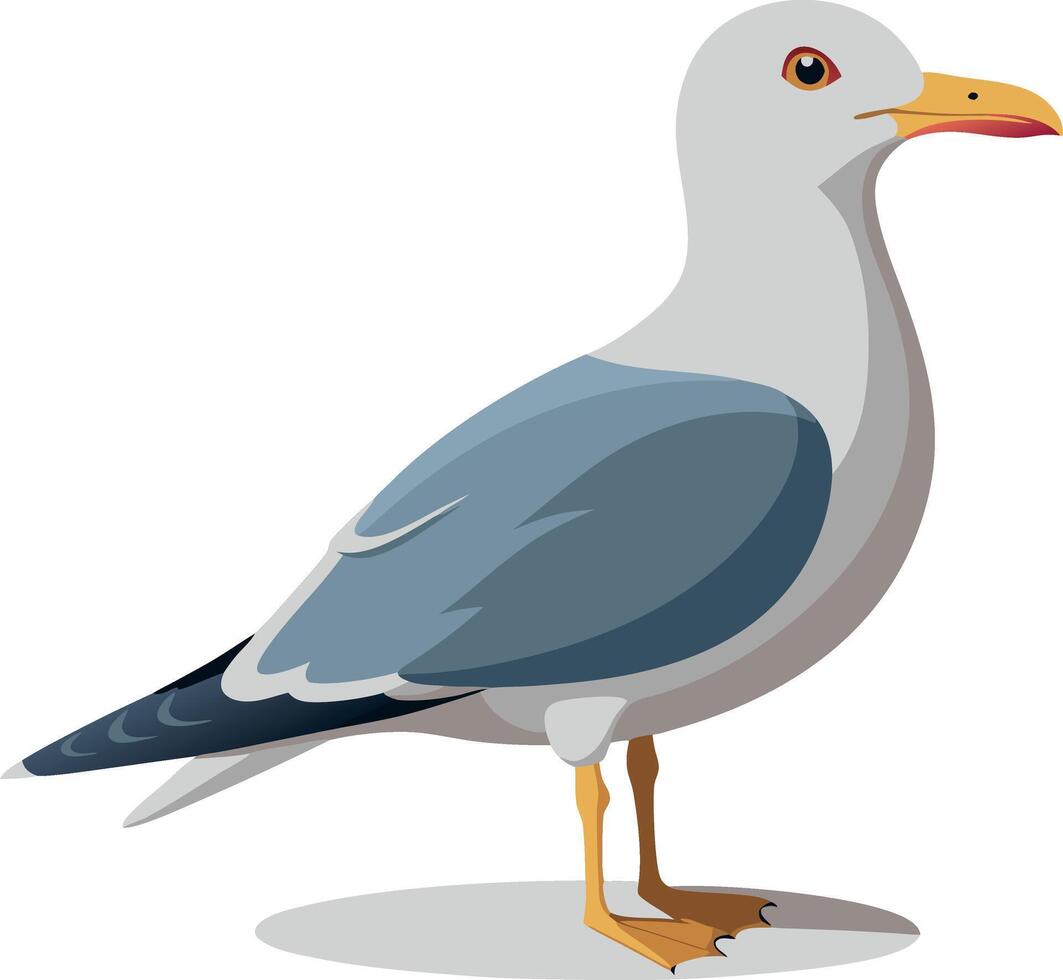 Detailed illustration of a seagull standing on a white background vector