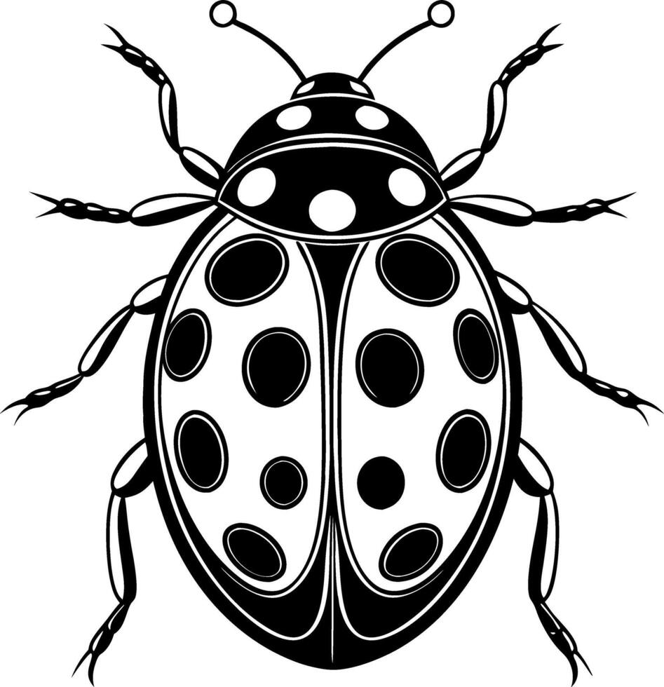 A black and white drawing of a ladybug with many dots on its back vector
