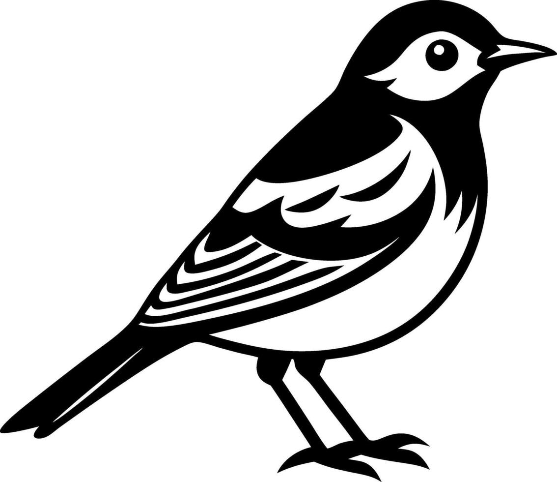 A black and white bird with a white head vector