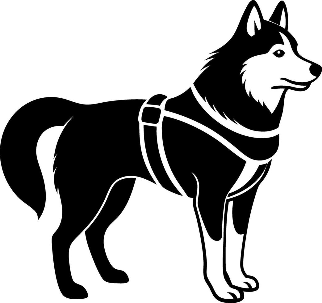 A black and white dog wearing a harness stands in front of a white background vector
