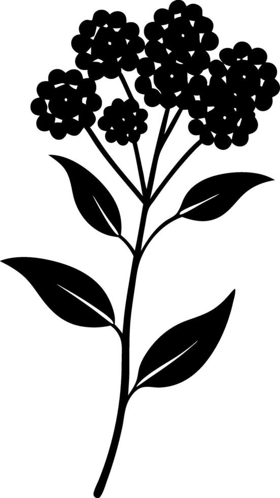 A black and white drawing of a flower with a leaf vector