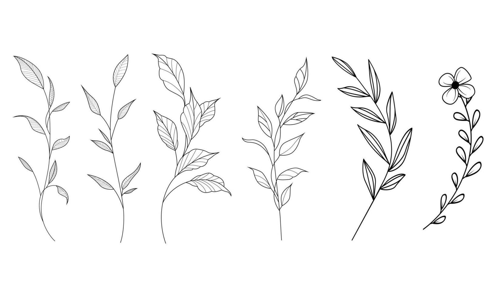 Collection of outline botanical foliage decoration vector