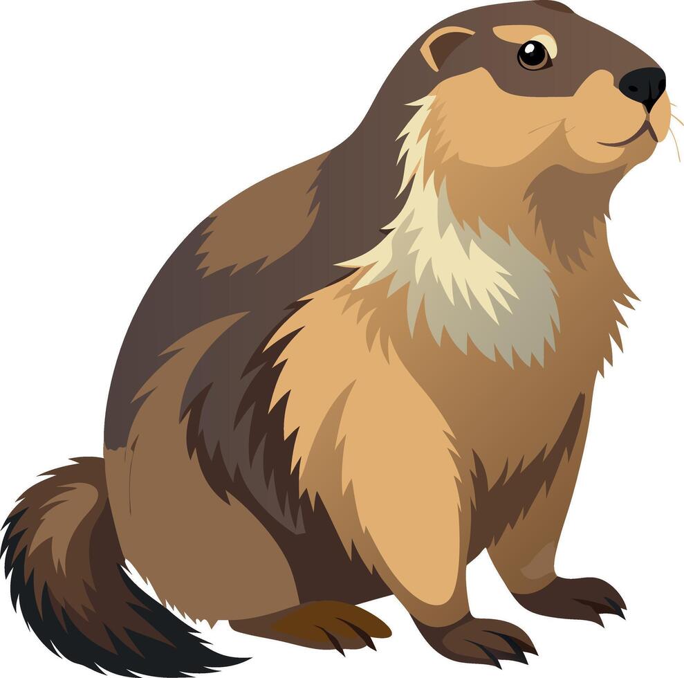 Illustration of a cute groundhog in a natural pose vector