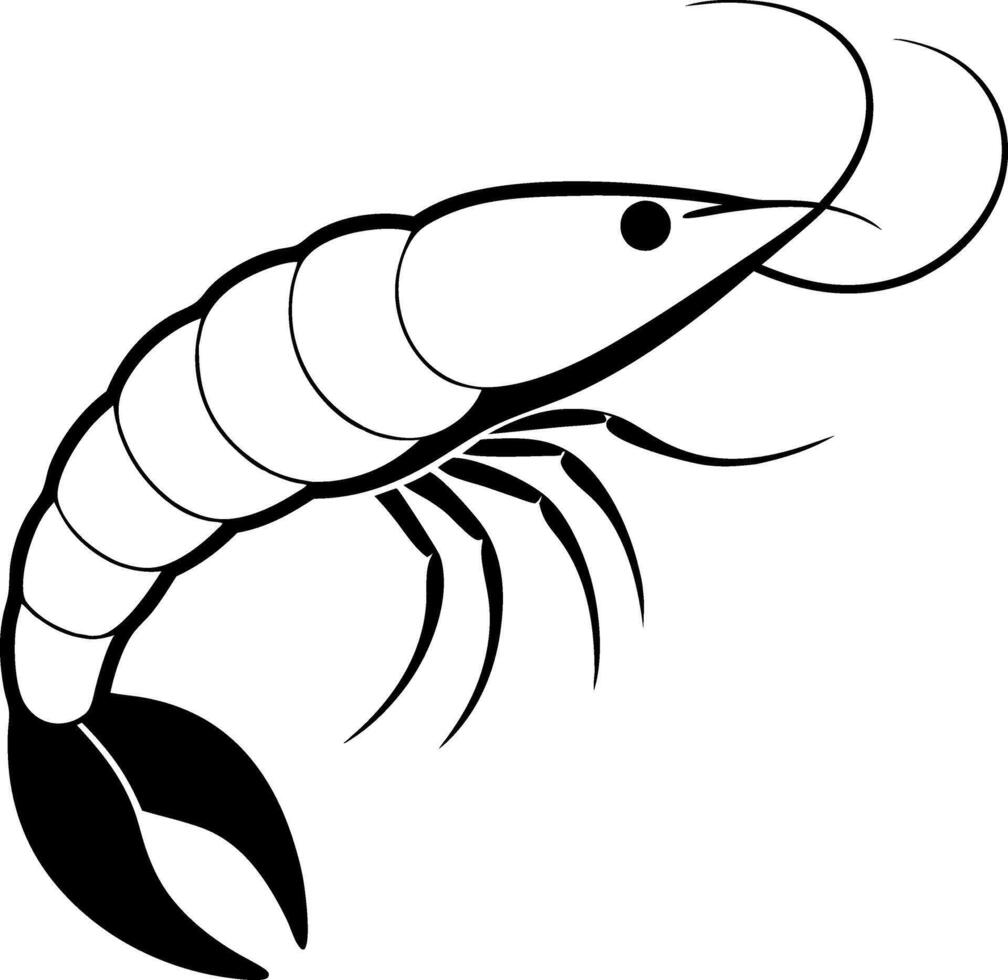 A white and black drawing of a shrimp vector
