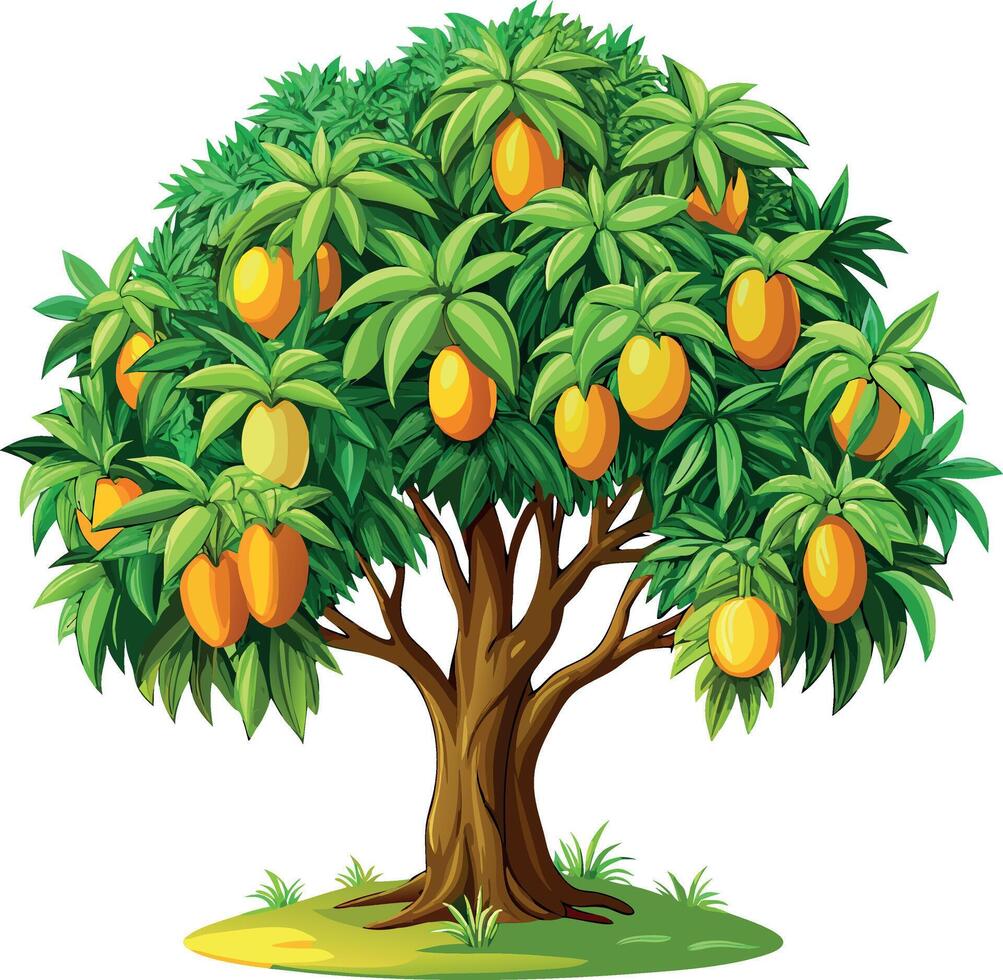 Colorful illustration of a lush mango tree with ripe fruits and vibrant green leaves vector