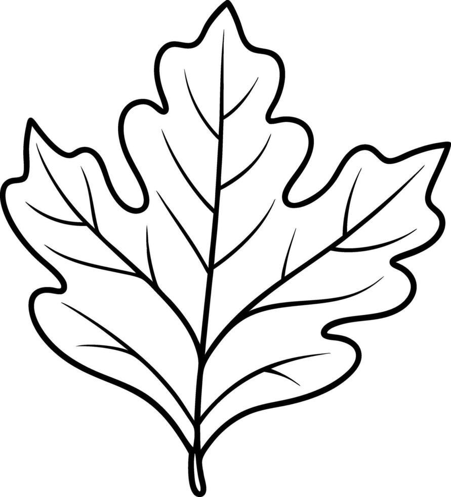 A leaf is drawn in black and white vector