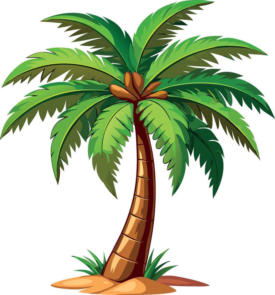 illustration of a palm tree on a white background vector