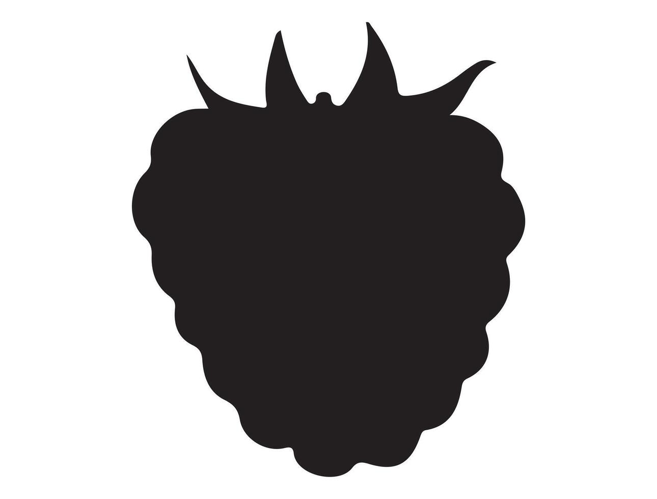 Raspberry silhouette on white background vector