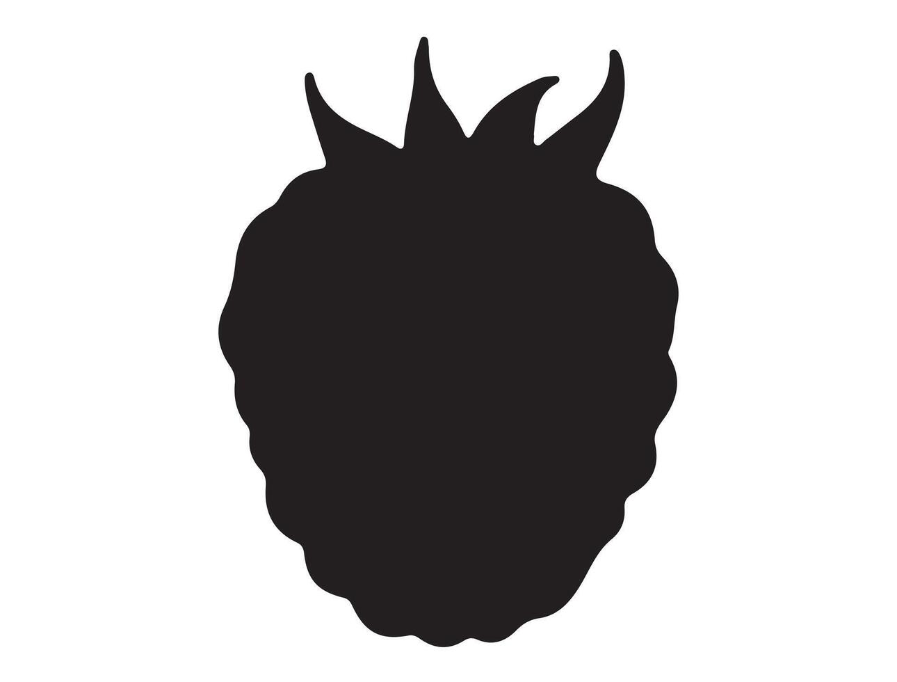 Raspberry silhouette on white background vector