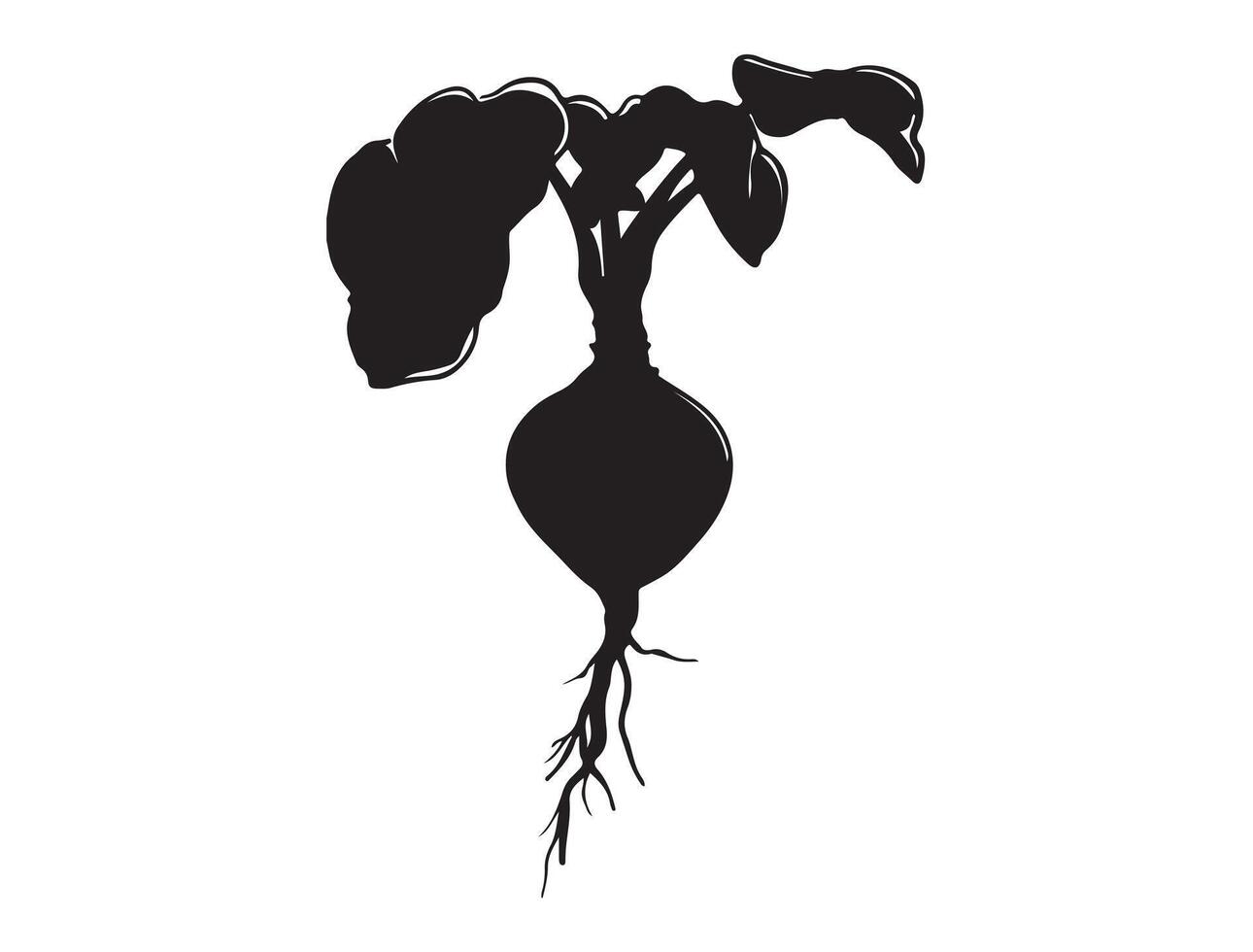 Rutabaga silhouette on white background vector