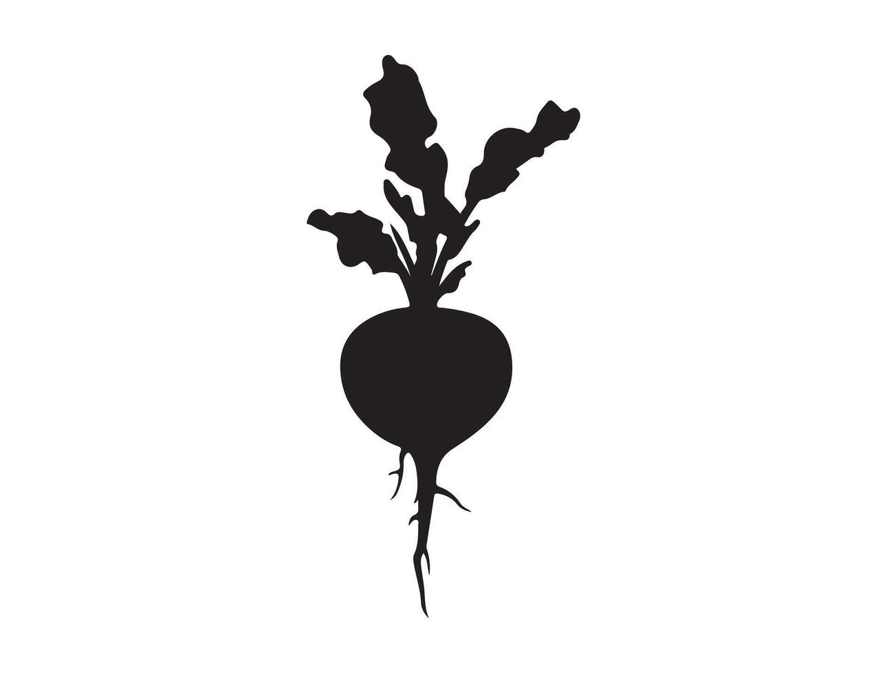 Rutabaga silhouette on white background vector