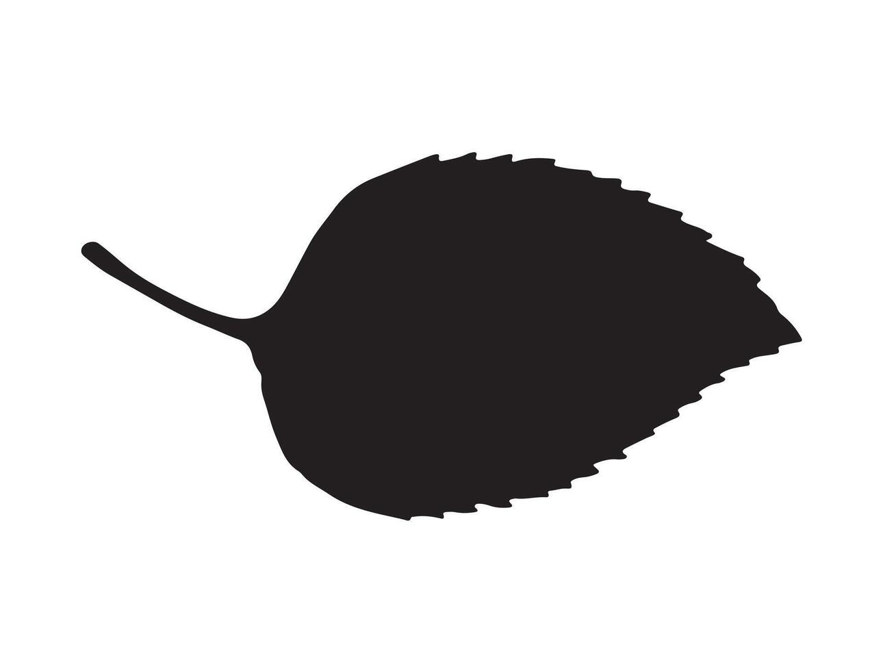 Leaf silhouette on white background vector