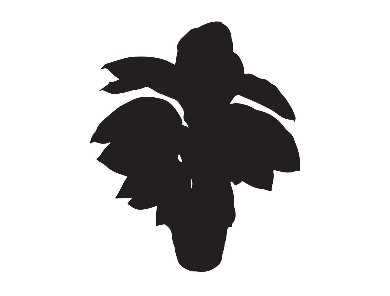 Tropical plant silhouette on white background vector