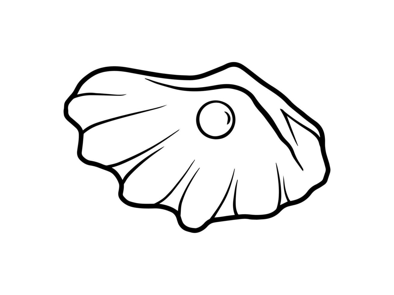 Seashell Sketch Line Art Illustration vector