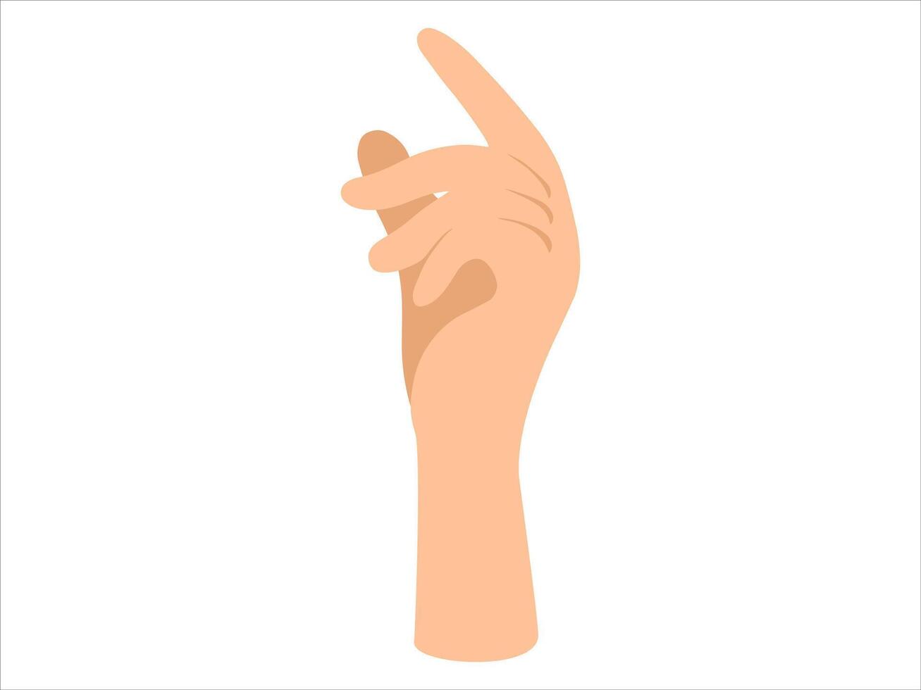 Hand Drawing Illustration vector