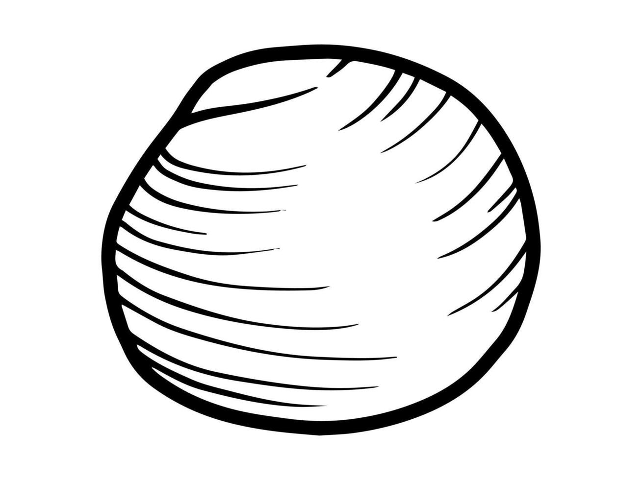 Seashell Outline Black White Illustration vector