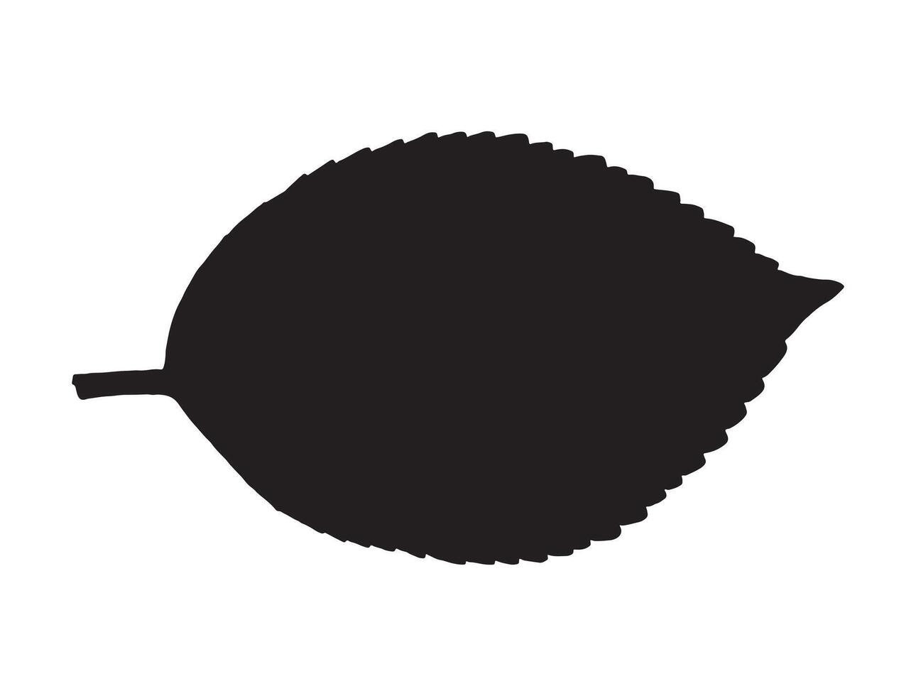 Leaf silhouette on white background vector