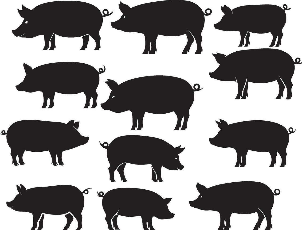 Black pig silhouette on white background, Pig farm animal silhouettes set, silhouette of a pig set vector