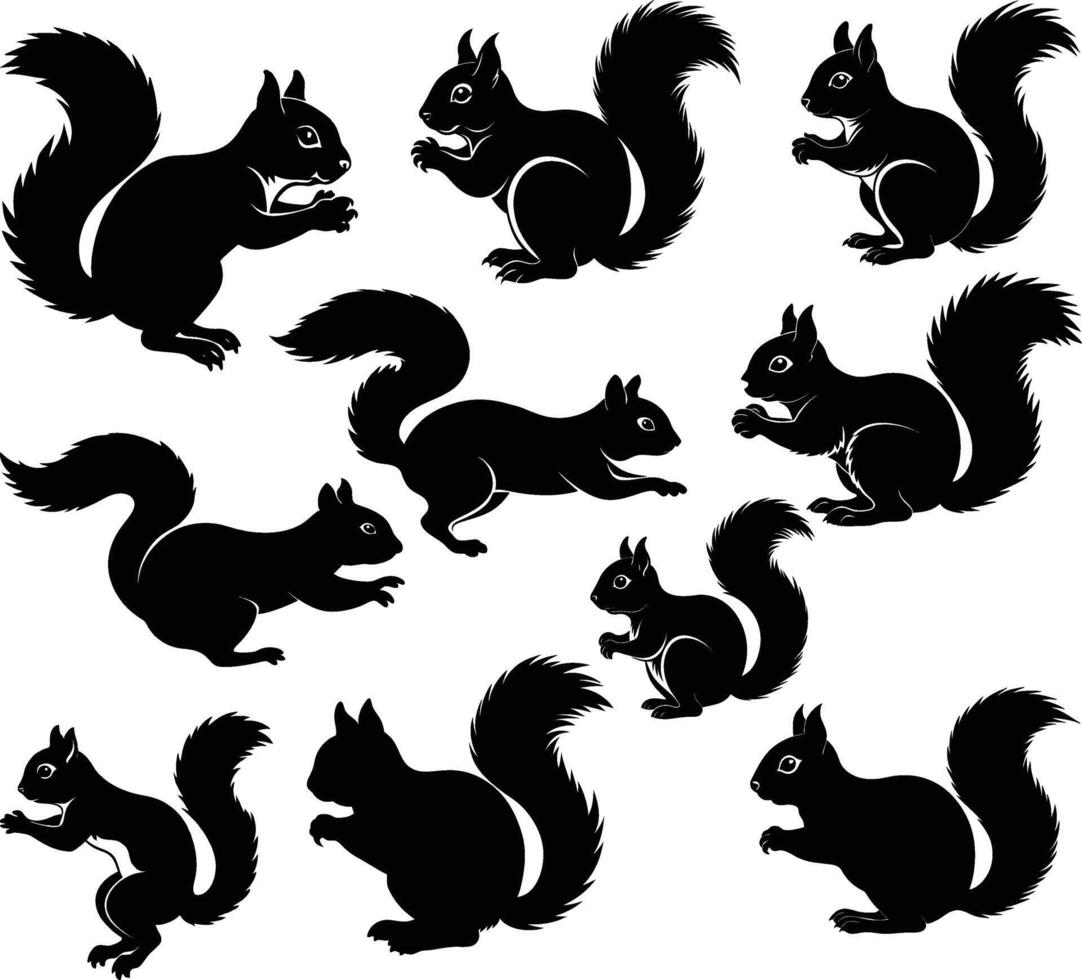 Squirrel silhouettes collection isolated white background, Squirrel animal silhouettes, squirrel silhouettes set illustration vector