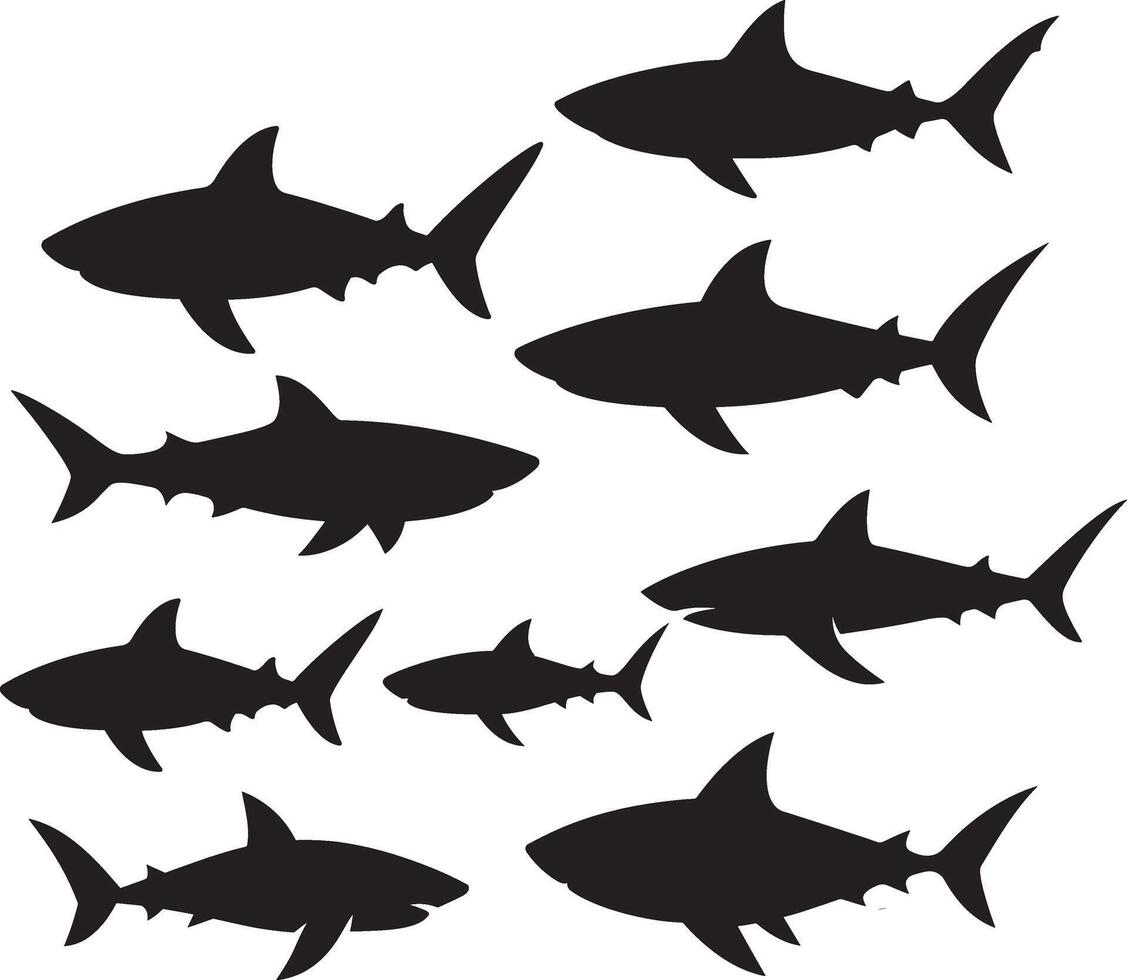 Set of shark silhouette collection white background, silhouette wild shark illustration, Set of different shark silhouette vector