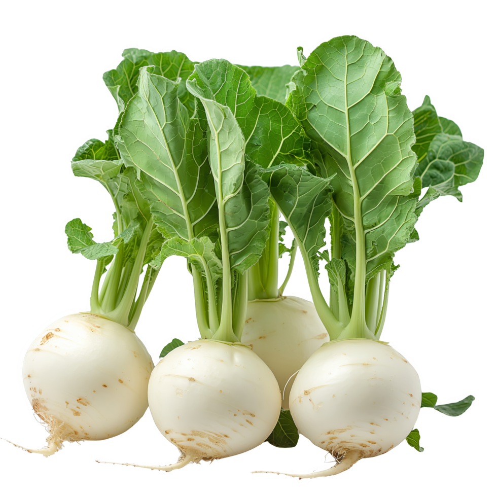 Crisp Kohlrabi with Leaves and Stems png