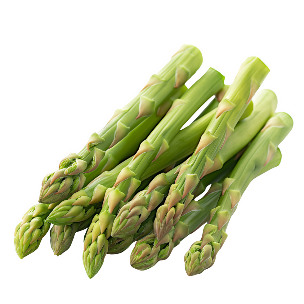 Green Asparagus Spears with Fresh Leaves png