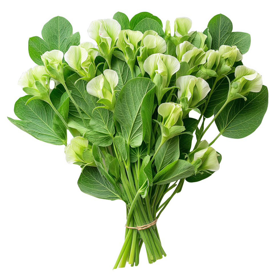 Sweet Peas in Pods with Leaves and Stems png