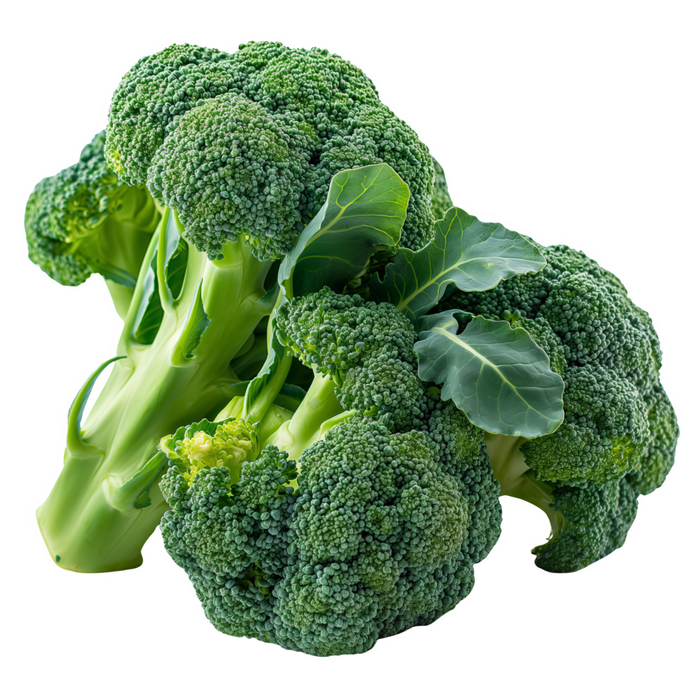 Fresh Broccoli with Leaves png