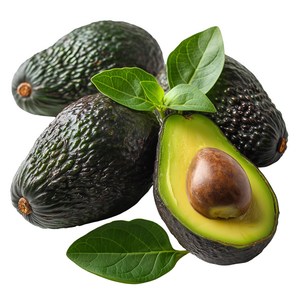 Fresh Avocados with Leaves and Stems png