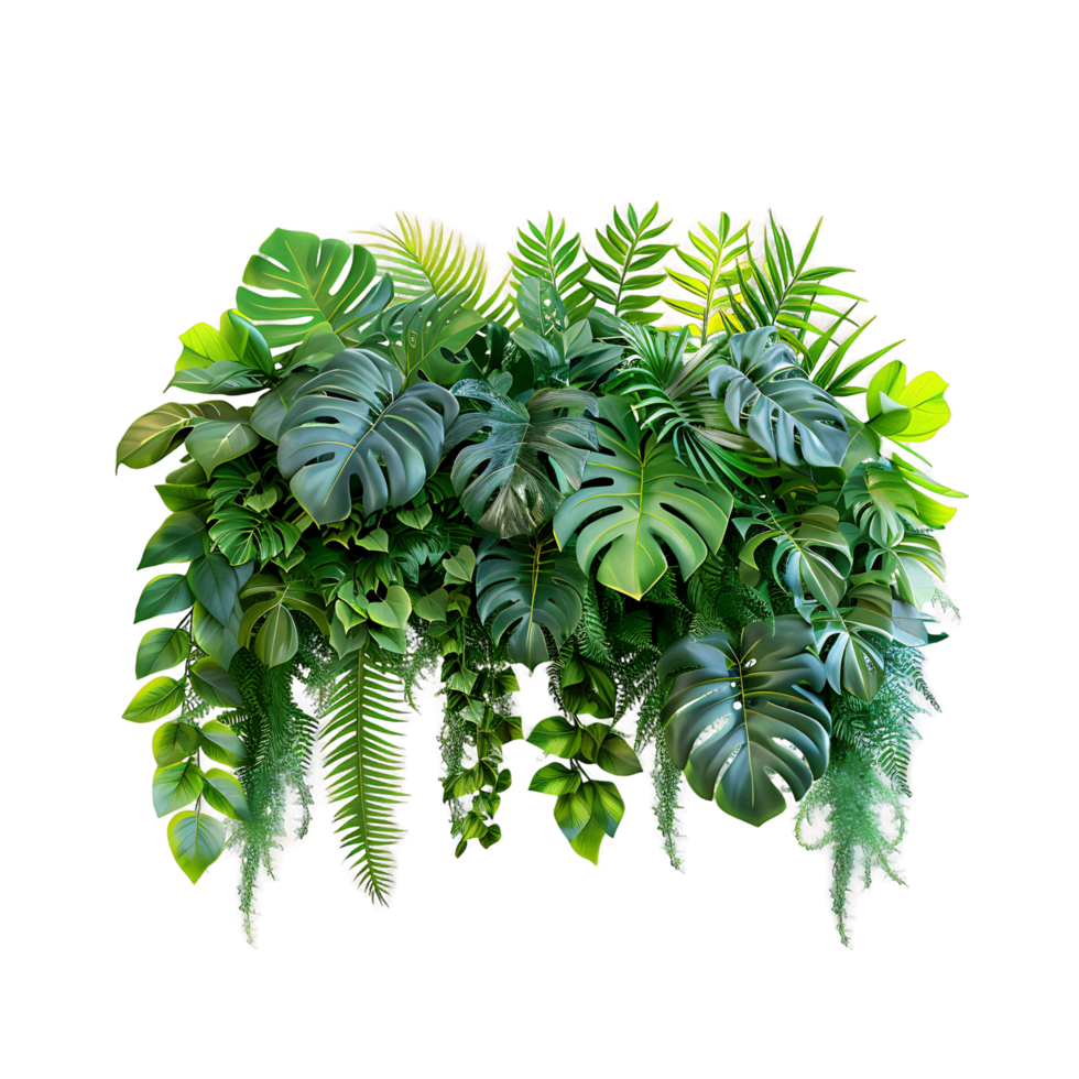 Isolated Tropical Plants on Transparent png