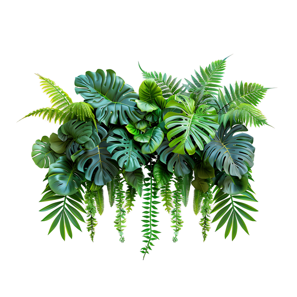 Monstera Palm Fern Isolated png