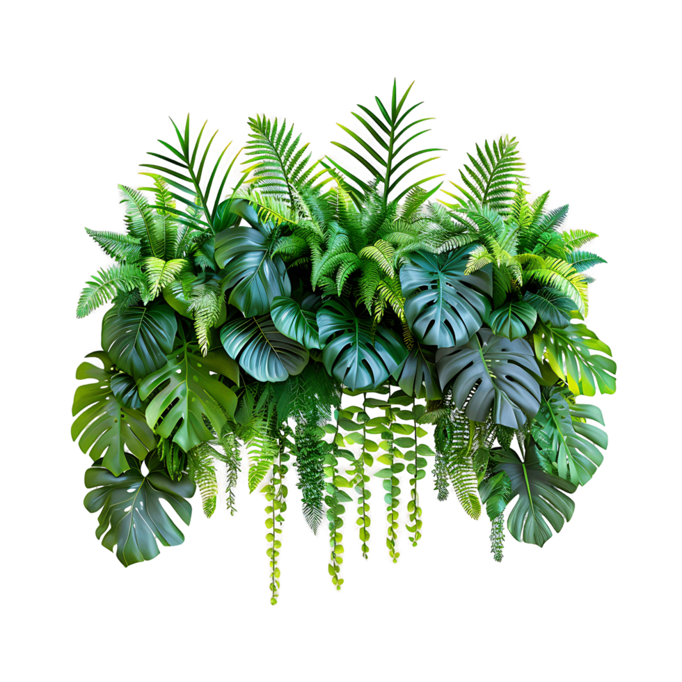 Hanging Monstera and Palm on Transparent png