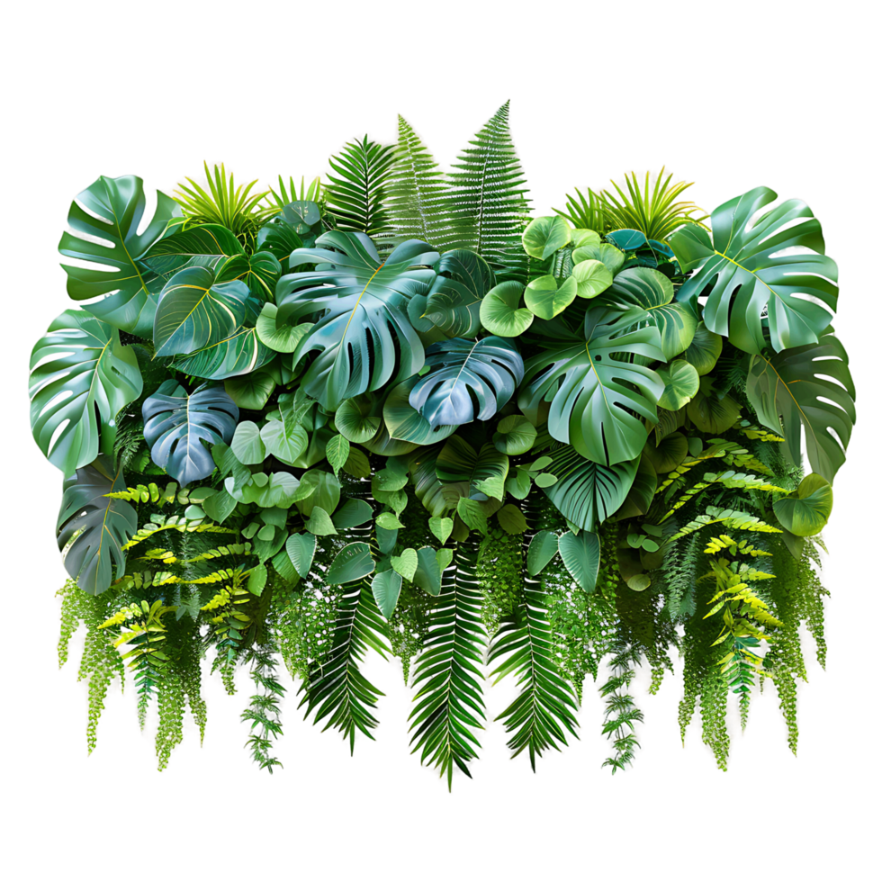 Transparent Background Plant Bush png