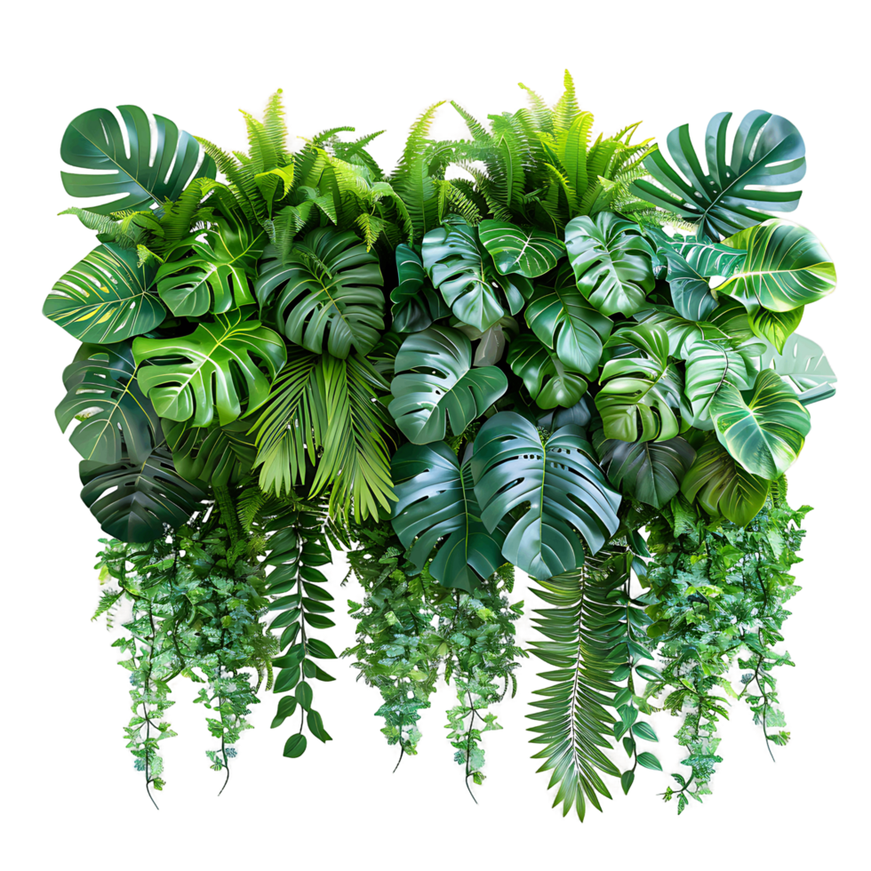 Lush Green Tropical Plants Cut Out png