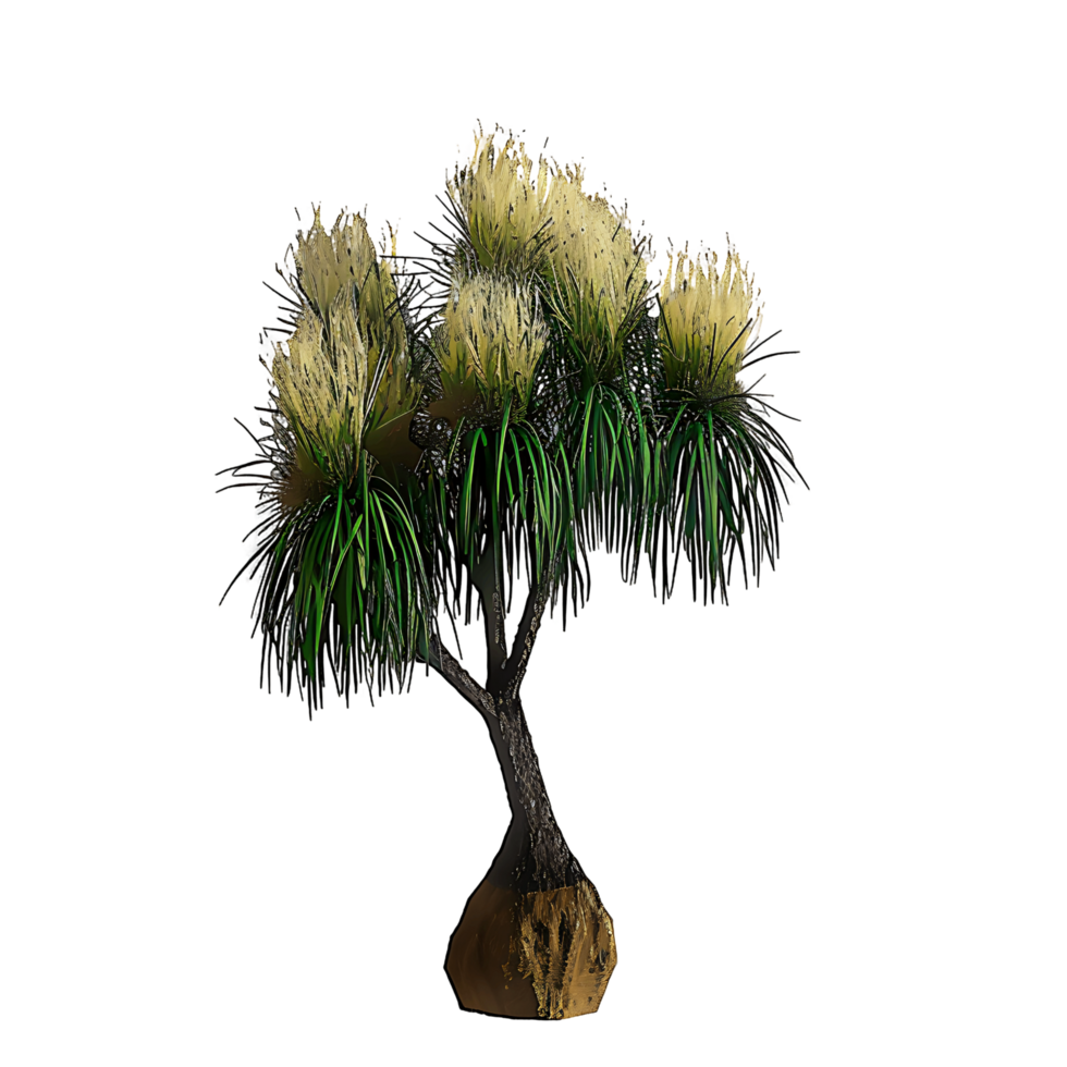 Beaucarnea Recurvata Tree with Transparent Background png