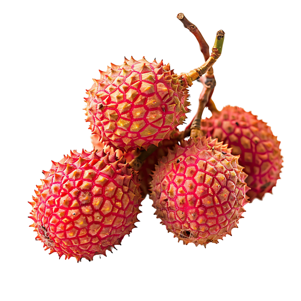 Litchi Lichee on White Background png