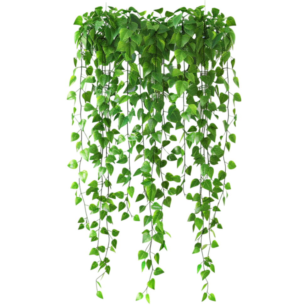 Green Ivy Hanging from a Tree AI-Generative png