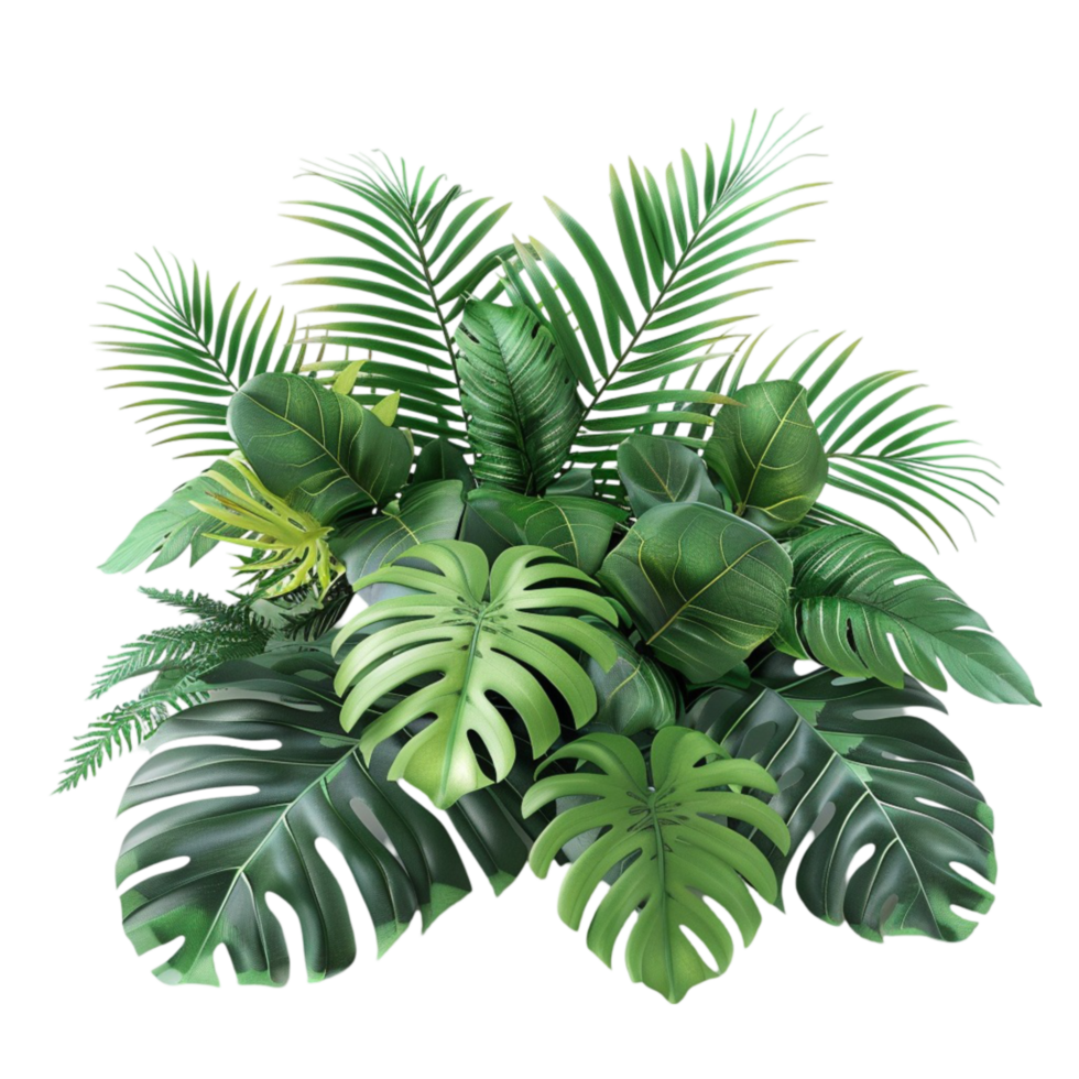 Tropical and Palm Tree Leaf Plants on Transparent Background png