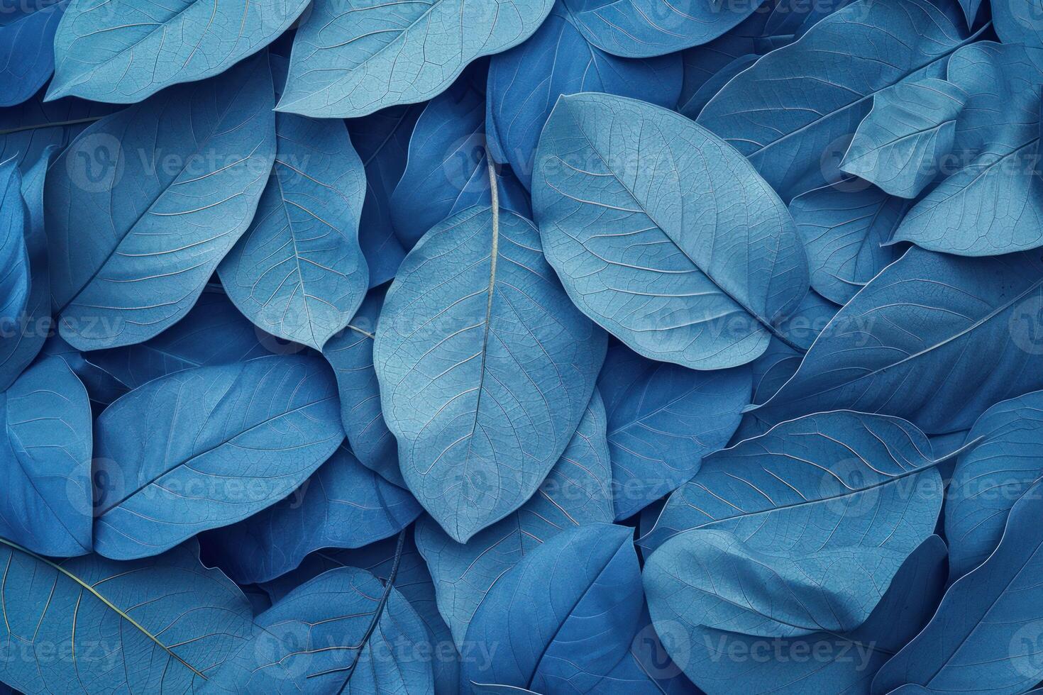 Vibrant blue hued leaf pattern creating a natural textured background photo