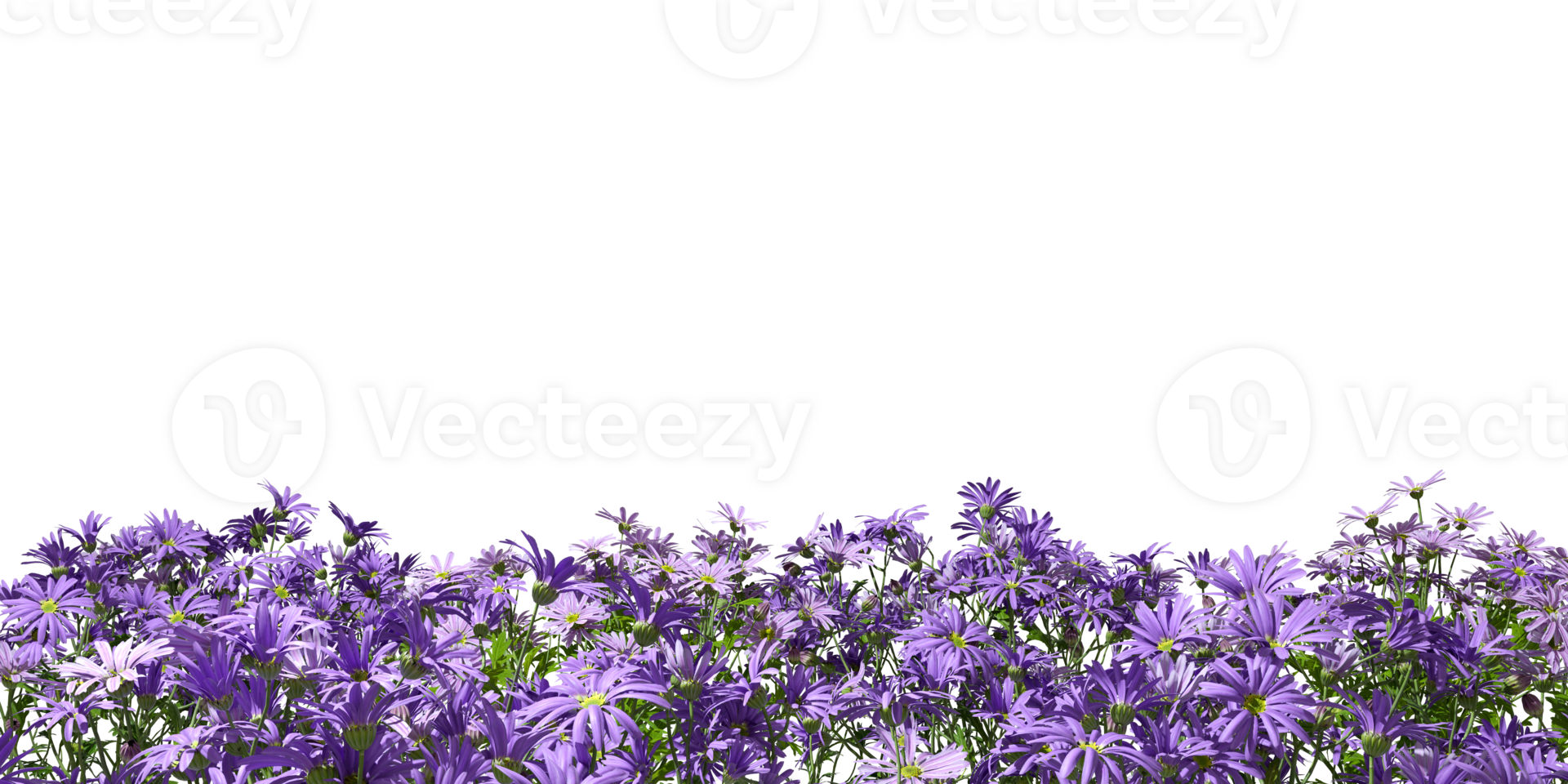 Realistic flowery shrub row foreground cutout transparent backgrounds 3d rendering png