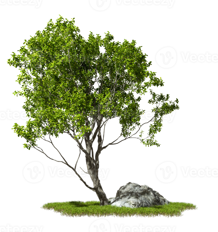 Greenery environmental trees and rocks on transparent backgrounds 3d illustration file png