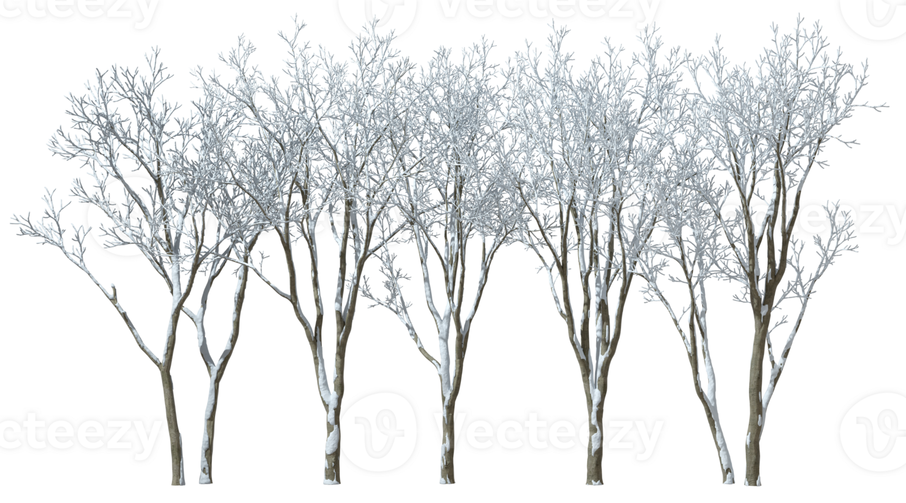 Bare trees landscaping covered by snow coldness icy on transparent backgrounds 3d render png