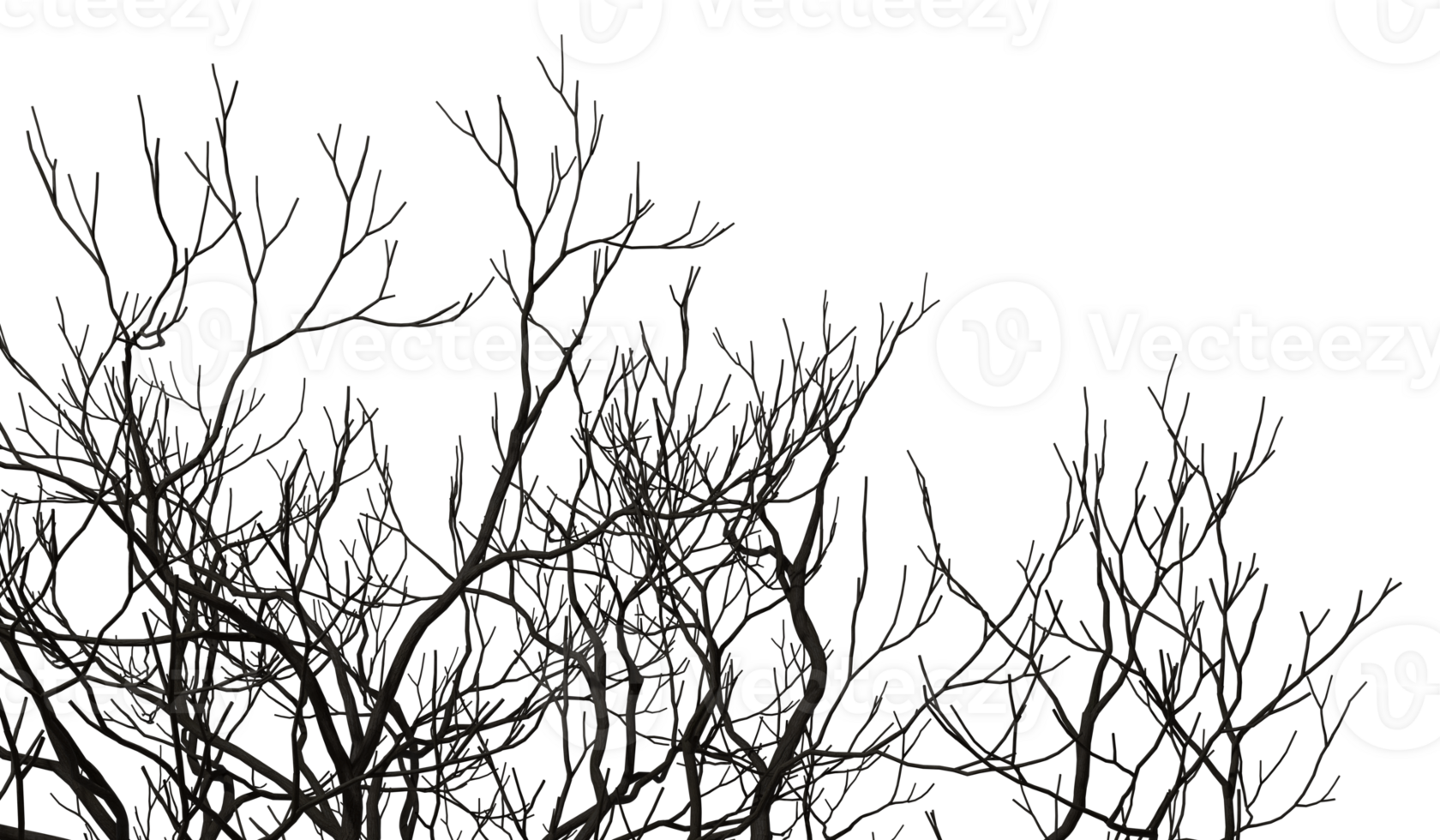 Silhouette isolated dead dry branches tree cutout backgrounds 3d illustrations png