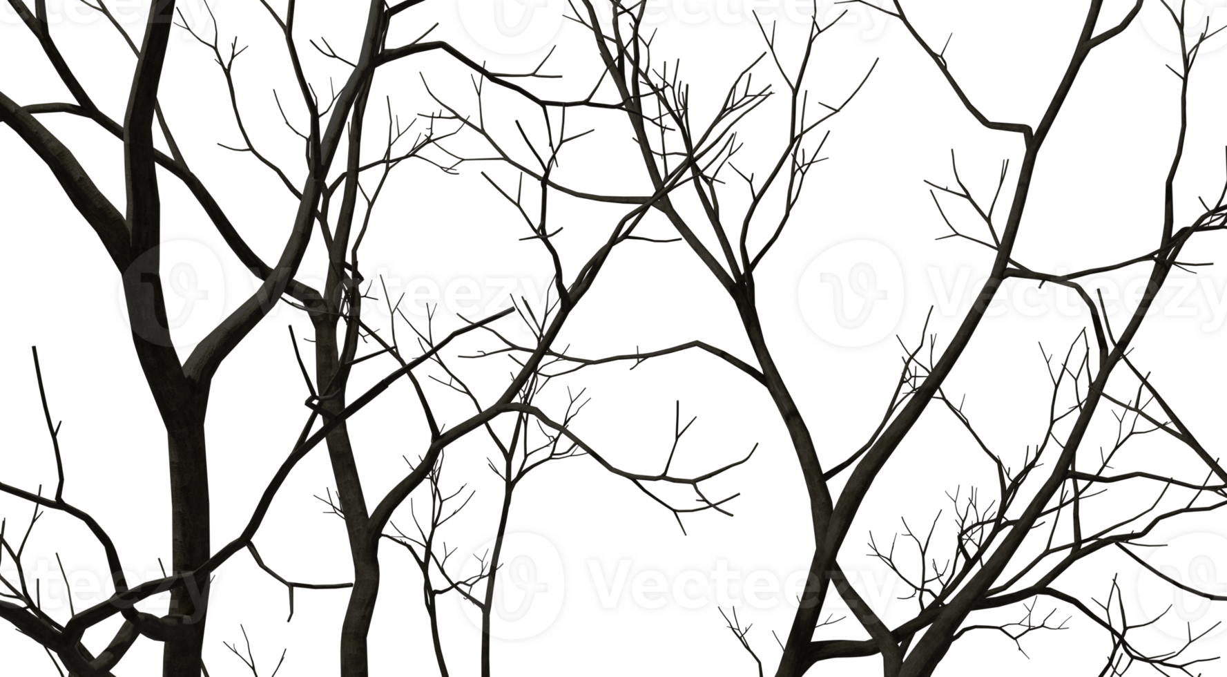 Silhouette bare trees branches forested 3d render png