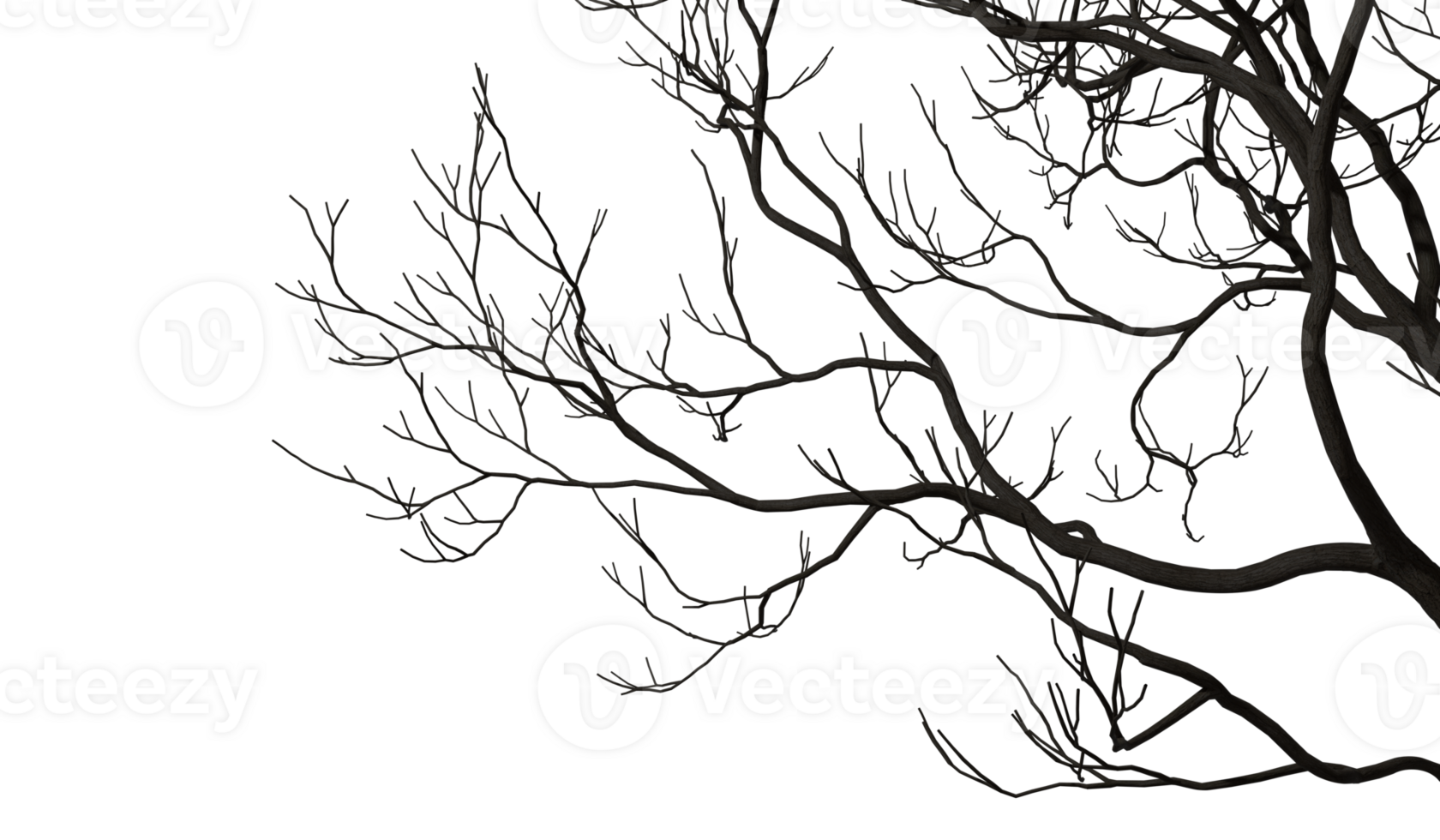 Silhouette death tree branches shapes cutout backgrounds 3d render png